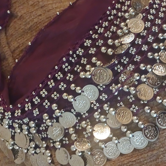 Belly Dance Purple Chiffon Hip Scarf Coin Belt - Picture 3 of 14